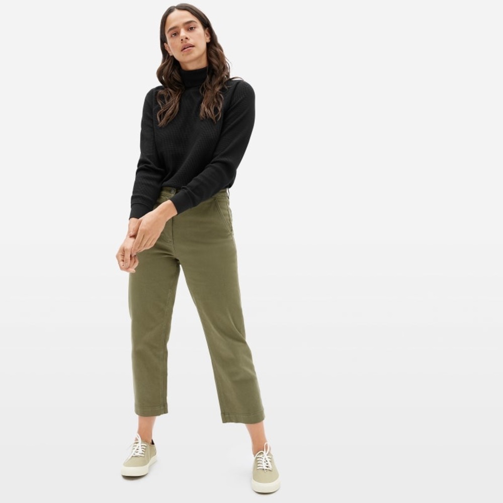 Everlane Organic Cotton Turtleneck Waffle Tee